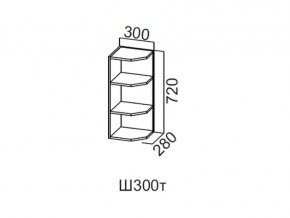 Ш300т/720 Шкаф навесной 300/720 (торцевой) в Добрянке - dobryanka.magazin-mebel74.ru | фото