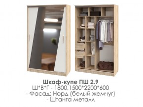 шкаф-купе ПШ-2.9 1500 Норд Белый жемчуг 1500 в Добрянке - dobryanka.magazin-mebel74.ru | фото