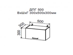 Шкаф верхний ДПГ500 горизонтальный в Добрянке - dobryanka.magazin-mebel74.ru | фото