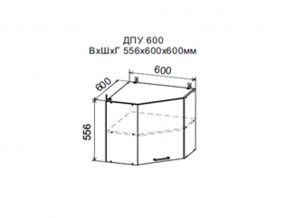 Шкаф верхний ДПУ600 угловой в Добрянке - dobryanka.magazin-mebel74.ru | фото